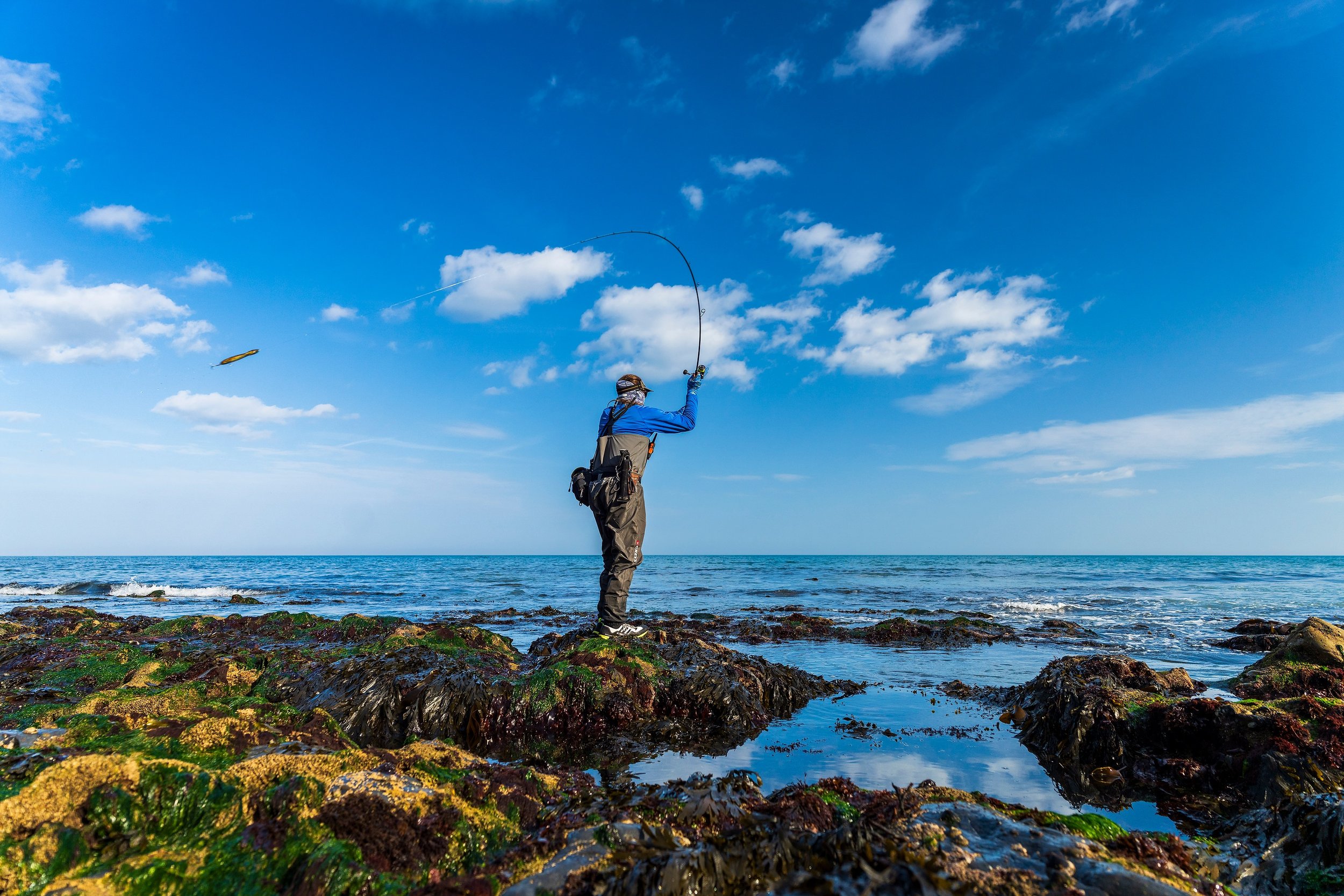 APIA Foojin'RS Desire 95MH 9'5'' 12-50g lure rod review APIA Foojin'RS Desire 95MH 9'5'' 12-50g lure rod review